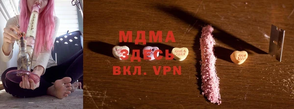 шишки Надым