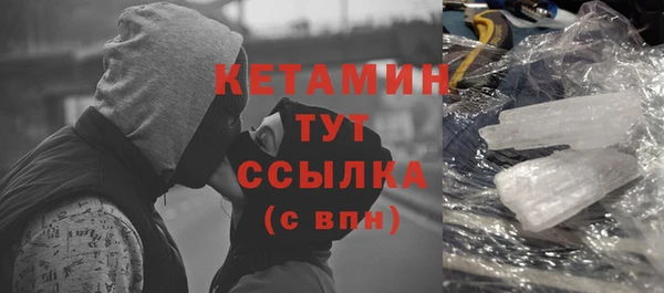 шишки Надым
