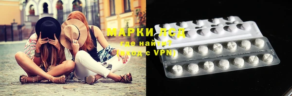 шишки Надым