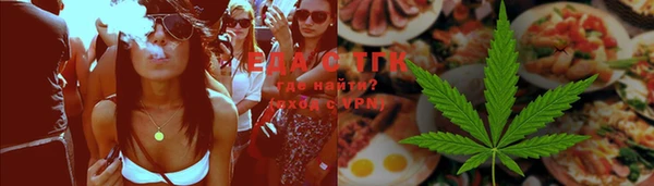 шишки Надым