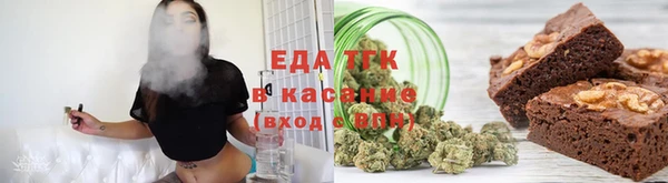 шишки Надым