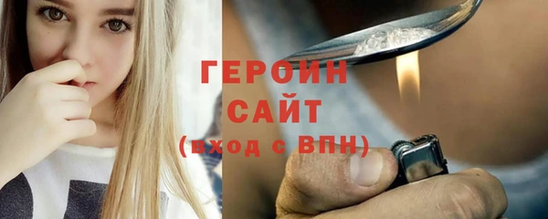 шишки Надым