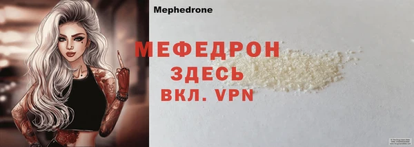 шишки Надым