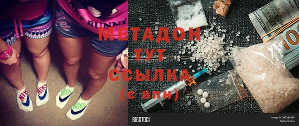 шишки Надым