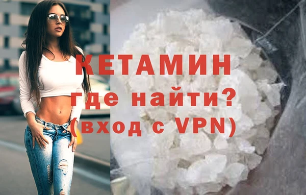 шишки Надым