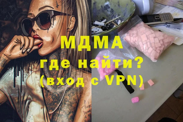 шишки Надым
