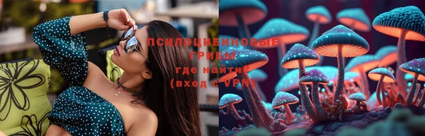 меф Нефтегорск