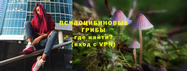 2c-b Карабаново