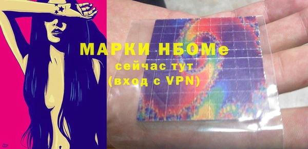 шишки Надым